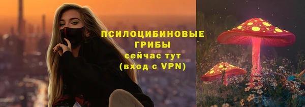 меф Арсеньев